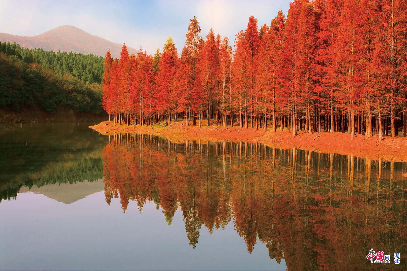 湖北虎爪山国家森林公园鲤鱼当景区.jpg